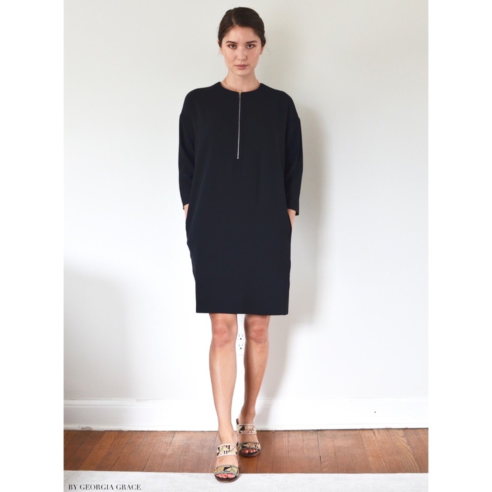 EUC Everlane Japanese Goweave Fabric Zip Front Dress